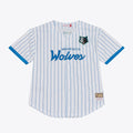 Minnesota Timberwolves Mitchell & Ness Head Coach Pinstripe Mesh Full - Button Baseball Jersey - White